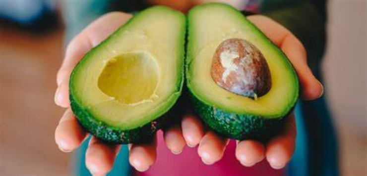 Le proprietà dell'avocado