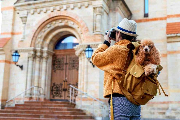 Viaggi con i tuoi amici 4 zampe - Ermesambiente.it