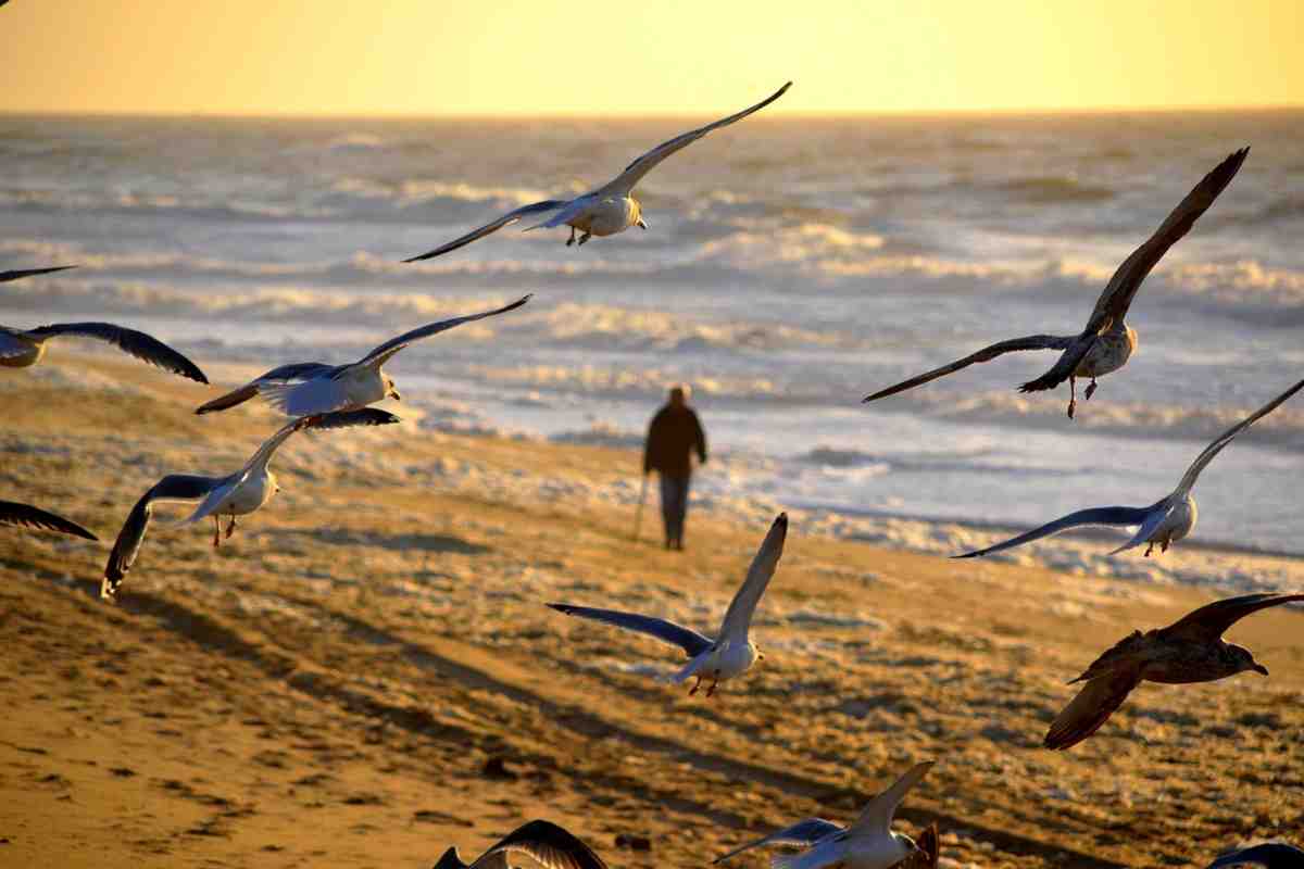 passeggiata spiaggia